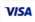 Visa Credit Card Logo